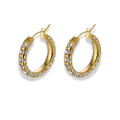 Crystal Glow Hoop Earrings