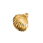 Big Shell Charm